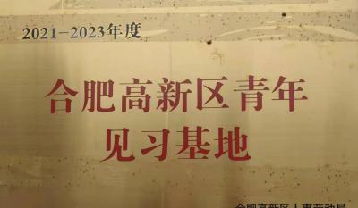 合肥完美获批建立合肥高新区青年见习基地